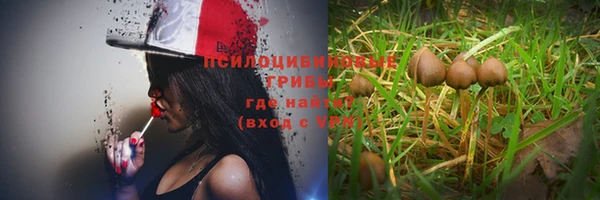 гашиш Арсеньев
