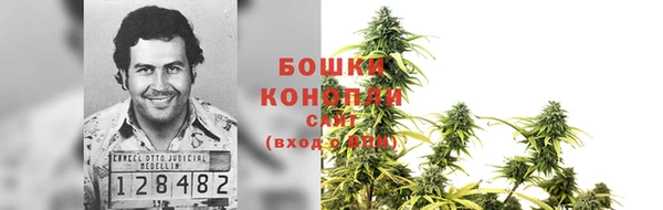 спиды Горняк