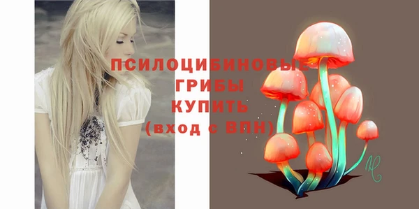 дмт Горнозаводск