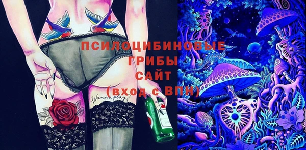 круглые Щучье